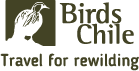 Logo Bird